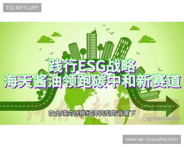 围绕迪拜协作足球俱乐部的发展愿景与国际化战略探讨路径分析前景